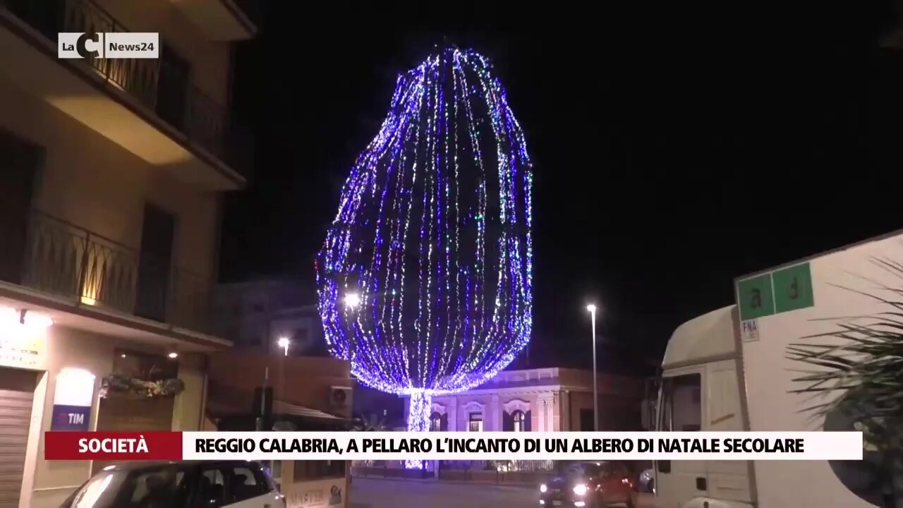 FOTO/ Il cuore luminoso, l'albero del Pino Irpino e le palline della  solidarietà: le tre installazioni natalizie del Moscati